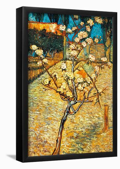 Vincent Van Gogh Flowering Pear Art Print Poster-null-Framed Poster