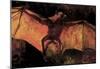 Vincent Van Gogh Flying Fox Art Print Poster-null-Mounted Poster