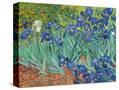Stretched Canvas