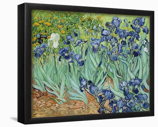 Vincent Van Gogh (Irises) Art Poster Print-null-Framed Poster