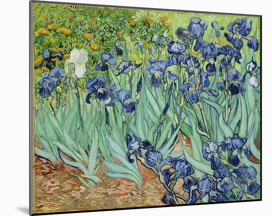 Vincent Van Gogh (Irises) Art Poster Print-null-Mounted Poster