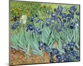 Vincent Van Gogh (Irises) Art Poster Print-null-Mounted Poster