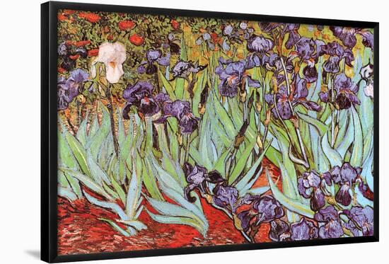 Vincent Van Gogh Irises Art Print Poster-null-Framed Poster