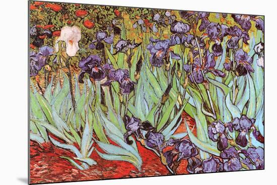 Vincent Van Gogh Irises Art Print Poster-null-Mounted Poster