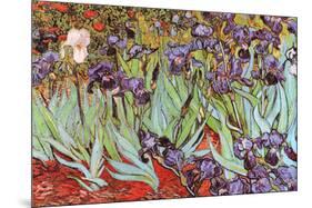 Vincent Van Gogh Irises Art Print Poster-null-Mounted Poster