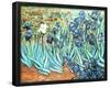 Vincent Van Gogh Irises in Garden Art Poster Print-null-Framed Poster