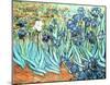 Vincent Van Gogh Irises in Garden Art Poster Print-null-Mounted Poster