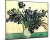 Vincent Van Gogh Irises In Vase Art Print Poster-null-Mounted Poster
