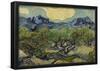 Vincent Van Gogh (Landscape with olive trees) Art Poster Print-null-Framed Poster