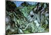 Vincent Van Gogh Les Peiroulets Ravine 2 Art Print Poster-null-Mounted Poster