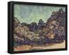Vincent Van Gogh (Mound at Saint-Rémy) Art Poster Print-null-Framed Poster