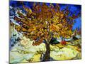 Wood Mount