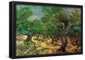 Vincent Van Gogh Olive Grove 2 Art Print Poster-null-Framed Poster