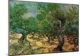 Vincent Van Gogh Olive Grove 2 Art Print Poster-null-Mounted Poster
