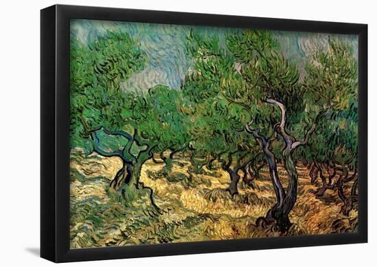 Vincent Van Gogh Olive Grove 2 Art Print Poster-null-Framed Poster