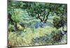 Vincent Van Gogh Olive Grove Art Print Poster-null-Mounted Poster