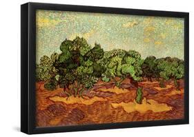 Vincent Van Gogh Olive Grove Pale Blue Sky Art Print Poster-null-Framed Poster