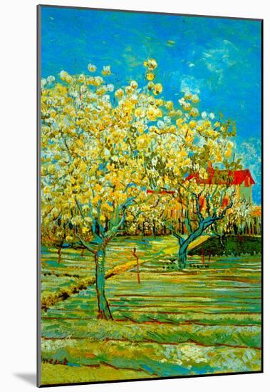 Vincent Van Gogh Orchard Art Print Poster-null-Mounted Poster