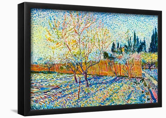 Vincent Van Gogh Orchard with Cypress Art Print Poster-null-Framed Poster