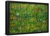 Vincent Van Gogh Patch of Grass Art Print Poster-null-Framed Poster