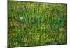 Vincent Van Gogh Patch of Grass Art Print Poster-null-Mounted Poster