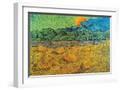 White Frame