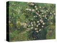 Stretched Canvas
