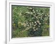 Gramercy White