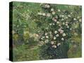 Stretched Canvas