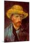 Vincent Van Gogh Self-Portrait with Straw Hat and Pipe Art Print Poster-null-Mounted Poster