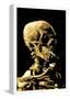 Vincent Van Gogh (Skull with Cigarette) Art Print Poster-null-Framed Poster