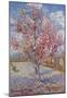 Vincent Van Gogh (Souvenir de Mauve) Art Poster Print-null-Mounted Poster