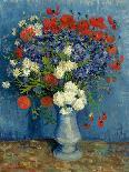 Garden in Bloom Arles, c.1888-Vincent van Gogh-Giclee Print