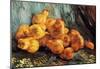 Vincent Van Gogh Still Life with Pears Art Print Poster-null-Mounted Poster