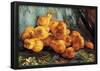 Vincent Van Gogh Still Life with Pears Art Print Poster-null-Framed Poster