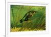 Vincent Van Gogh The Kingfisher-null-Framed Art Print