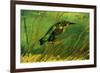 Vincent Van Gogh The Kingfisher-null-Framed Art Print