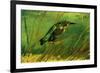 Vincent Van Gogh The Kingfisher-null-Framed Art Print