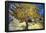 Vincent Van Gogh The Mulberry Tree Art Print Poster-null-Framed Poster