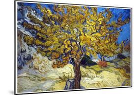 Vincent Van Gogh The Mulberry Tree Art Print Poster-null-Mounted Print