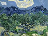 The Olive Trees, 1889-Vincent van Gogh-Giclee Print