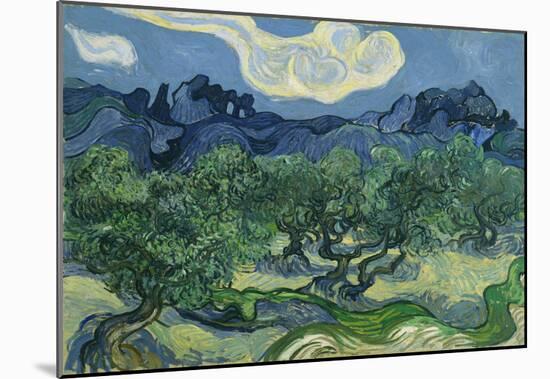 Vincent Van Gogh (The Olive Trees) Art Poster Print-null-Mounted Poster