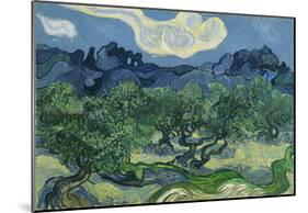 Vincent Van Gogh (The Olive Trees) Art Poster Print-null-Mounted Poster