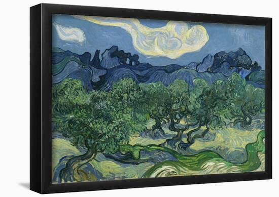 Vincent Van Gogh (The Olive Trees) Art Poster Print-null-Framed Poster