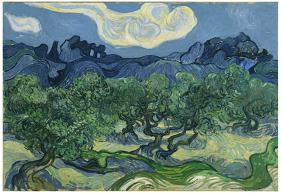 Vincent Van Gogh (The Olive Trees) Art Poster Print-null-Lamina Framed Poster