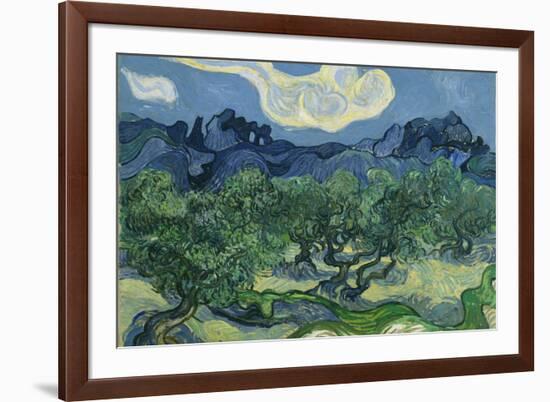 Vincent van Gogh (The Olive Trees)-Vincent van Gogh-Framed Art Print