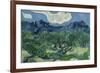 Vincent van Gogh (The Olive Trees)-Vincent van Gogh-Framed Art Print