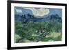 Vincent van Gogh (The Olive Trees)-Vincent van Gogh-Framed Art Print