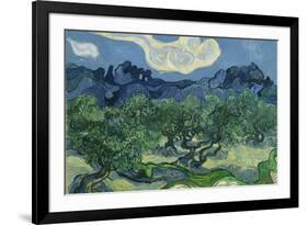 Vincent van Gogh (The Olive Trees)-Vincent van Gogh-Framed Art Print