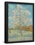 Essential Black